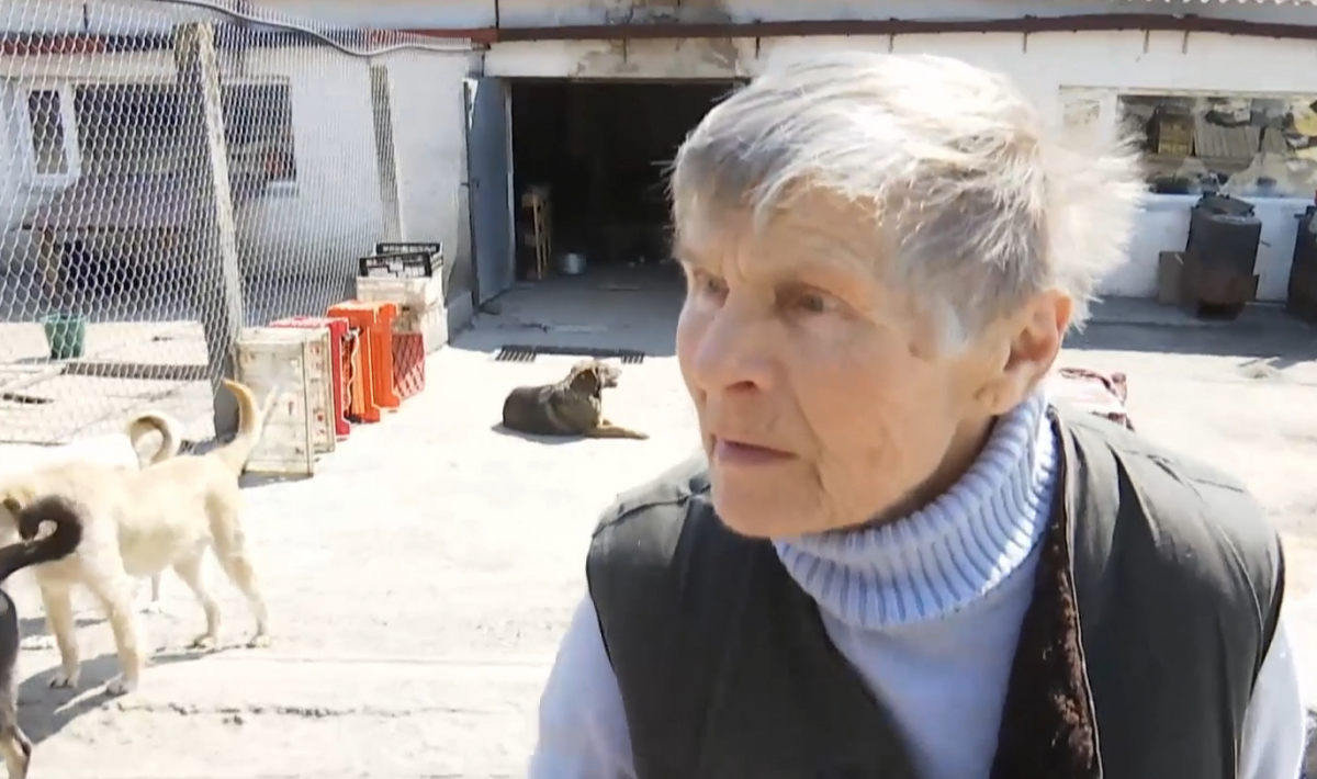  proprietarul în vârstă de 77 de ani al unui adăpost de animale din Gostomel a povestit cum a supraviețuit ocupației/capturii de ecran din videoclip 