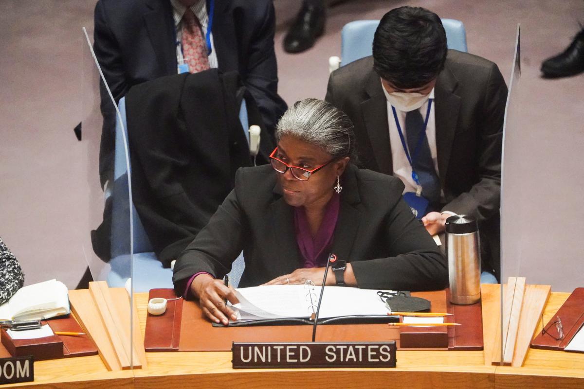  Ambasadorul a făcut o astfel de declarație la un briefing ONU/foto: REUTERS