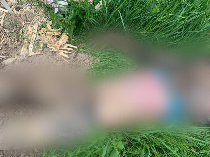 corpul unui civil a fost găsit în regiunea Kiev/foto facebook.com/pol.kyivregion