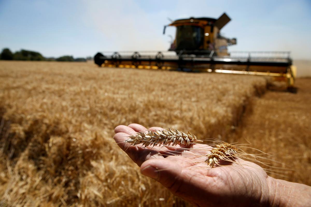  Rusia fură cereale ucrainene/REUTERS foto 